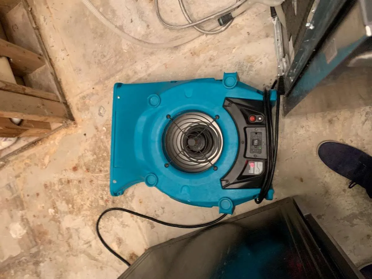 Air mover drying equipment for Mold Remediation & Removal in Payson